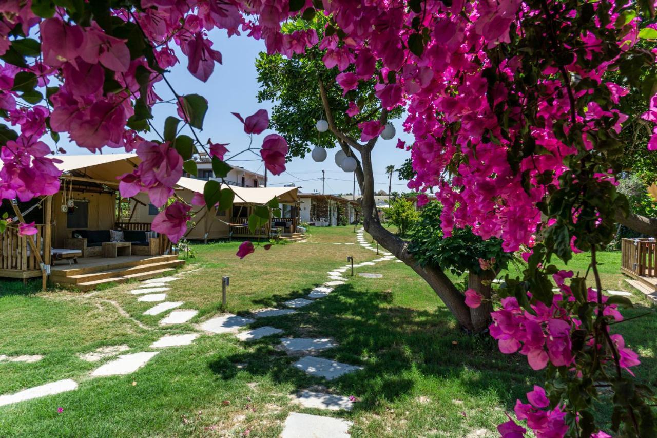 Logos Beach Village Theológos Exteriér fotografie